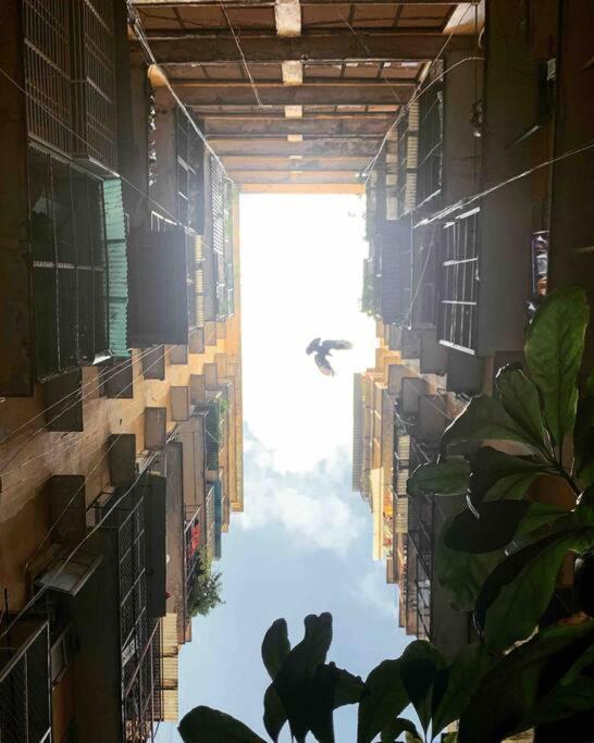 Saigonese Lifestyle - Near Ben Thanh Market Ho Şi Min Exterior foto